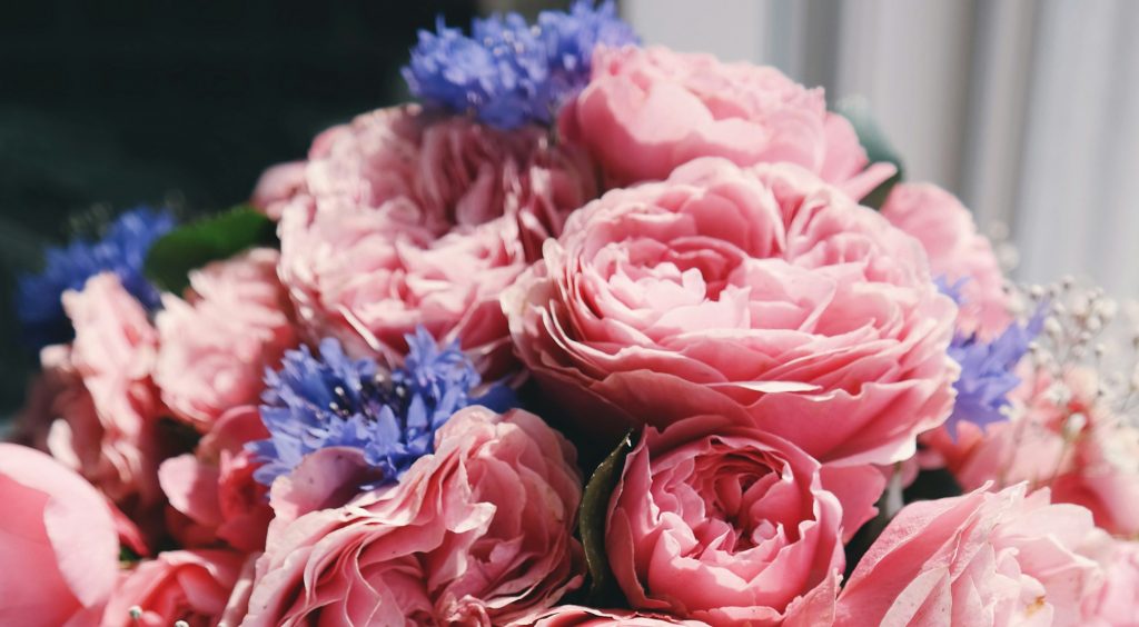Sallys Florist, Forest of Dean flowers, Ross on Wye flowers, and Monmouth Flowers. Wedding, Tribute and Celebration flowers, Flower arranging in the Forest of Dean, Gloucestershire, flower gifts Forest of Dean